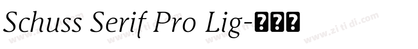 Schuss Serif Pro Lig字体转换